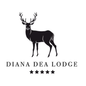 logo-300x300-11